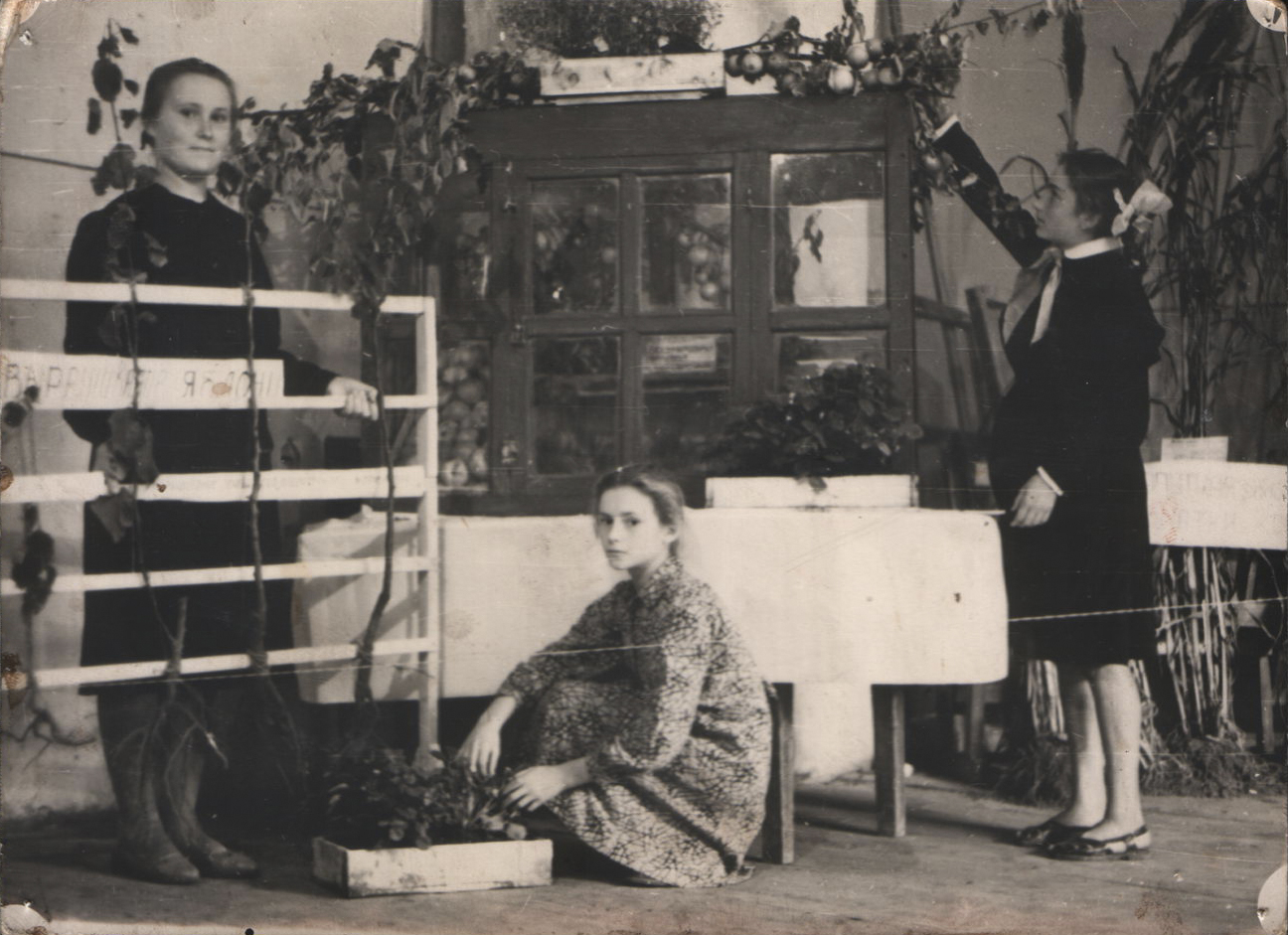 1950-е - 1960-е гг.