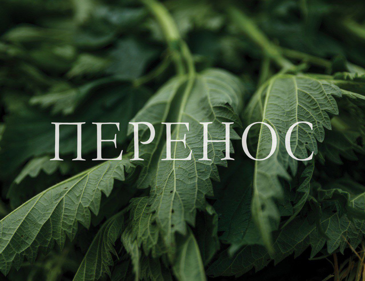 Перенос Фестиваля