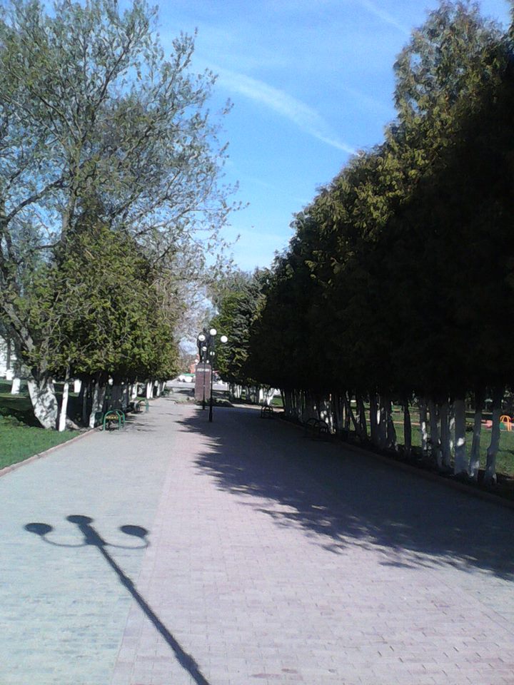 Венев
