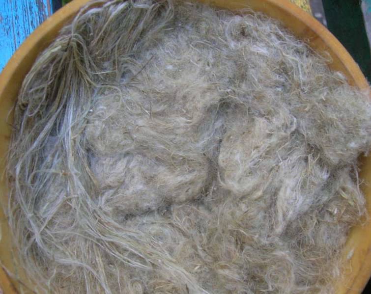 крапивная кудель